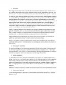 Relación niños-padres