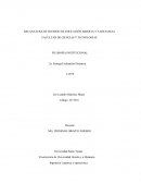 La persona y la Formación Humana Integral