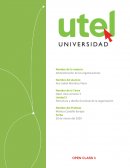 Estructura y diseño funcional de la organización