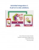 Actividad integradora 1. El pH en la vida cotidiana. Explicación teórica de los ácidos, bases y el pH