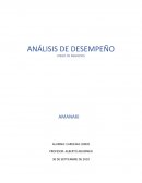 Analisis desempeño Juego de negocios
