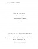 Análisis Caso “Mieles del Maipo”