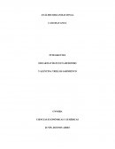 ANÁLISIS ORGANIZACIONAL CASO HAVANNA