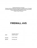 FIREWALL AVS