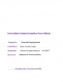 Factibilidad de empresa de Chocolate en polvo