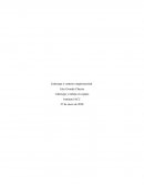 Liderazgo y contexto organizacional , película INVICTUS