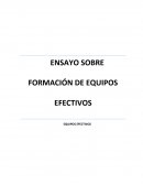 ENSAYO SOBRE FORMACIÓN DE EQUIPOS EFECTIVOS