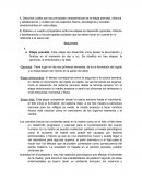 Etapas del desarrollo niño