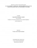 Alcance jurídico y límites de la responsabilidad penal en los casos de trastorno mental transitorio en Colombia