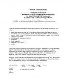 INGENIERIA EN TECNOLOGIAS DE LA INFORMACION EN COMPETENCIAS PROFESIONALES