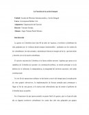 Función de la Acción Integral. Transformación del estado mayor