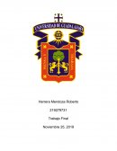 Proyecto de exportación Samsung