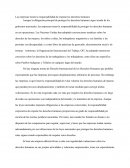 Las empresas tienen la responsabilidad de respetar los derechos humanos