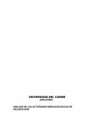 ANÁLISIS DE LAS ACTIVIDADES MERCADOLÓGICAS DE HELADOS BON