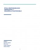 IDENTIFICAR LA MISIÓN, VISIÓN Y VALORES DE LA EMPRESA. ¿INCORPORAN LA SUSTENTABILIDAD EN SUS ENUNCIADOS? ¿DE QUÉ MANERA?