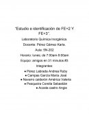 Identificación de Iones Fe+2 y Fe+3: Estudio en productos de uso común