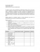 Currículo y Modernización