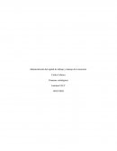 Administración del capital de trabajo y manejo de la tesorería