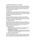 ELEMENTOS IMPORTANTES DE LA PLANEACIÓN empresa Cueros Vélez