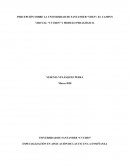 PERCEPCIÓN SOBRE LA UNIVERSIDAD DE SANTANDER “UDES”