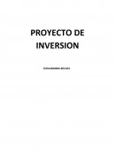 Proyecto de inversion TExtiles