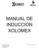 MANUAL DE INDUCCIÓN XOLOMEX
