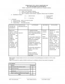 PLAN DE DESARROLLO DE DESTREZAS