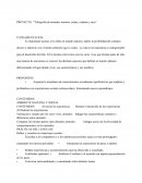 Infografía de animales marinos: Pulpo, calamar y raya