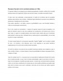 Resumen Ejecutivo de la sociedad anónima en Chile