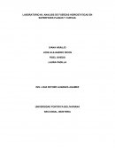 LABORATORIO #2: ANALISIS DE FUERZAS HIDROSTATICAS EN SUPERFICIES PLANAS Y CURVAS