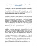 Ciudad, centro histórico, patrimonio y desarrollo sustentable: Un análisis conceptual