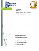 ORGANIZACIÓN Y DIRECCION DE LOS CENTROS DE LA INFORMATICA