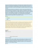 Examen Derechos humanos