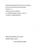 TRABAJO: CARBOHIDRATOS