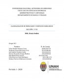 GLOBALIZACION DE MERCADOS Y SERVICIOS BANCARIOS