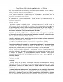 Autoridades Administrativas y laborales en México