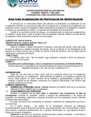 GUIA PARA ELABORACION DE PROTOCOLOS DE INVESTIGACION