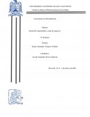 Desarrollo emprendedor y plan de negocios. Flash: Análisis FODA