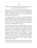 Ensayo de redes de apoyo