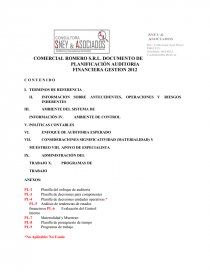 COMERCIAL ROMERO S.R.L. DOCUMENTO DE PLANIFICACIÓN AUDITORIA FINANCIERA. Página 1