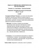 COMPOSICION E IMPORTANCIA DEL SECTOR TERCIARIO