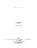 COSTOS Y PRESUPUESTOS. EMPRESA DE GELATINAS VARIEDADES JELLY