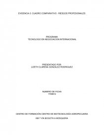 EVIDENCIA 3: CUADRO COMPARATIVO - RIESGOS PROFESIONALES. Página 1