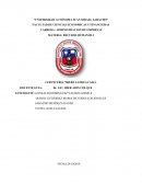 CERVECERIA “BIERE LANDEAU S.R.L"