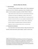 ANÁLISIS JURÍDICO DEL PROCESO