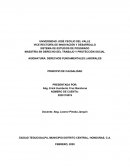 DERECHOS FUNDAMENTALES LABORALES