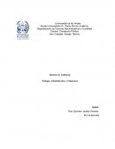Informe de Auditoría: Enfoque Administrativo y Financiero