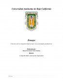 Entorno de la competitividad actual y las actividades productivas de las empresas