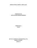 RESEÑA HISTORICA SOBRE EL CARRO ALADO