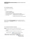 DIRECCIONES DE DESARROLLO: Diversificación, integración vertical y restructuración